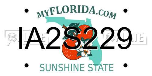 IA2S229 Florida License Plate