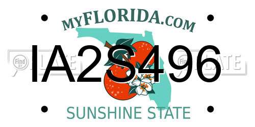 IA2S496 Florida License Plate