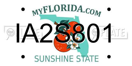 IA2S801 Florida License Plate