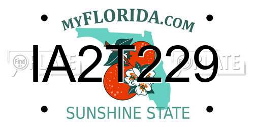 IA2T229 Florida License Plate