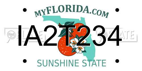 IA2T234 Florida License Plate