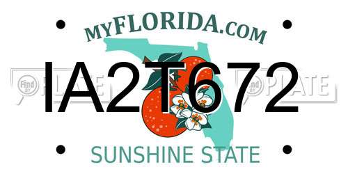 IA2T672 Florida License Plate