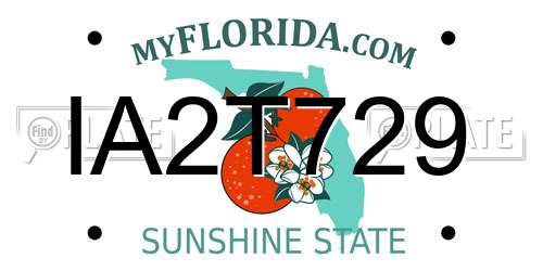 IA2T729 Florida License Plate