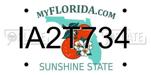 IA2T734 Florida License Plate