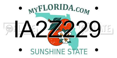 IA2Z229 Florida License Plate