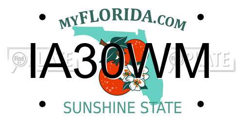 IA30WM Florida License Plate