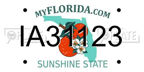 IA31123 Florida License Plate