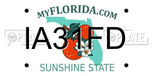 IA31FD Florida License Plate