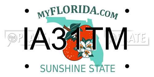 IA31TM Florida License Plate