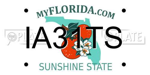 IA31TS Florida License Plate
