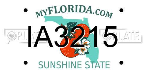 IA3215 Florida License Plate