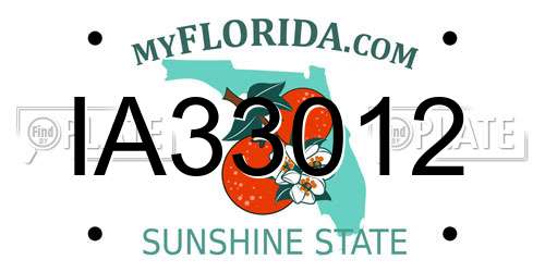 IA33012 Florida License Plate