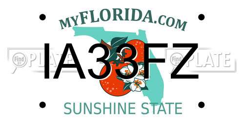IA33FZ Florida License Plate