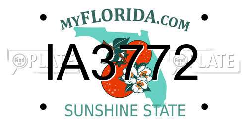 IA3772 Florida License Plate