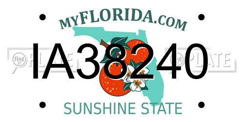 IA38240 Florida License Plate