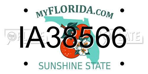 IA38566 Florida License Plate