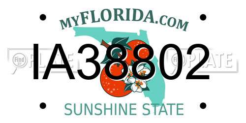 IA38802 Florida License Plate