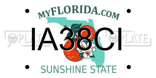 IA38CI Florida License Plate