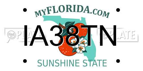 IA38TN Florida License Plate