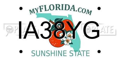 IA38YG Florida License Plate