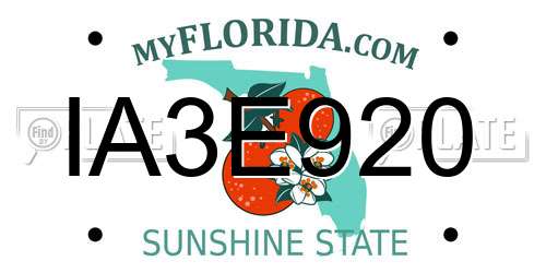 IA3E920 Florida License Plate