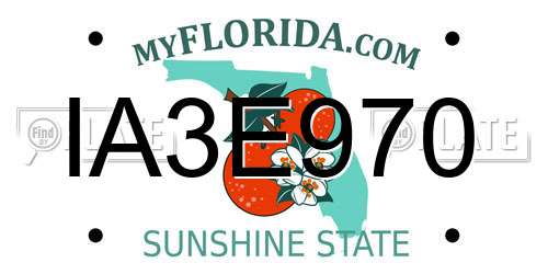 IA3E970 Florida License Plate