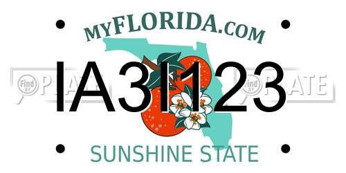 IA3I123 Florida License Plate