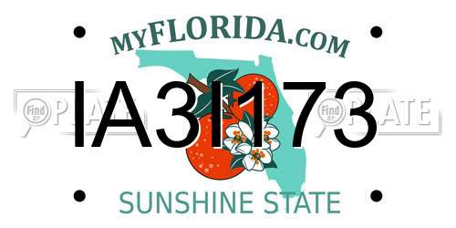 IA3I173 Florida License Plate