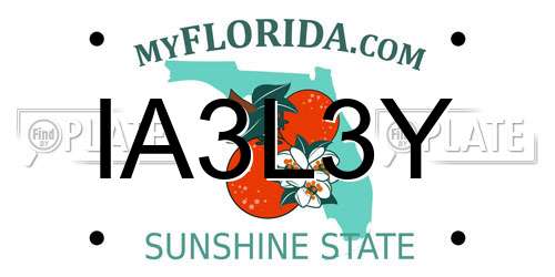 IA3L3Y Florida License Plate