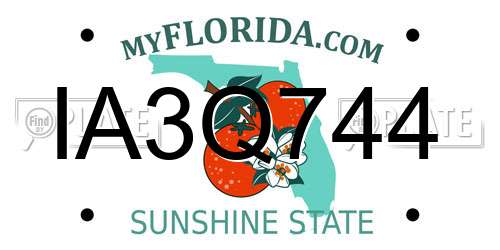 IA3Q744 Florida License Plate