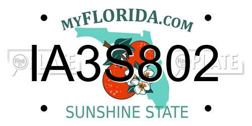 IA3S802 Florida License Plate