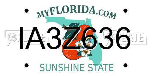 IA3Z636 Florida License Plate