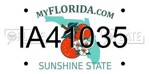 IA41035 Florida License Plate