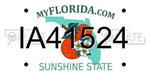 IA41524 Florida License Plate