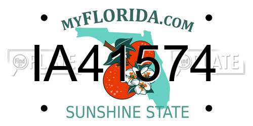 IA41574 Florida License Plate