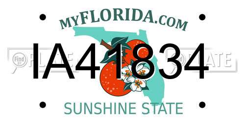 IA41834 Florida License Plate