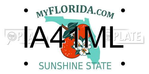 IA41ML Florida License Plate
