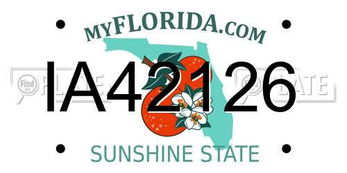IA42126 Florida License Plate