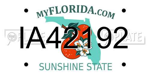 IA42192 Florida License Plate