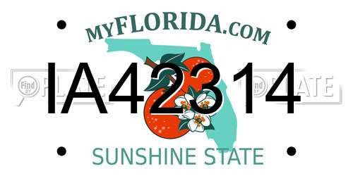 IA42314 Florida License Plate