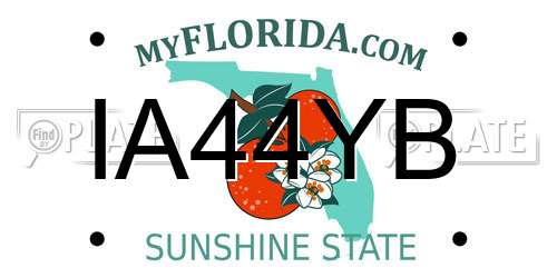 IA44YB Florida License Plate
