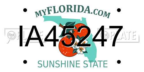 IA45247 Florida License Plate