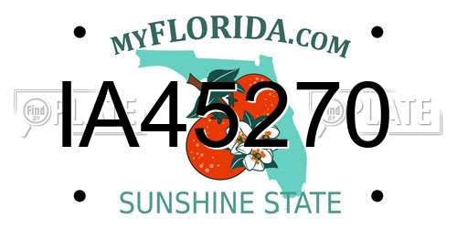 IA45270 Florida License Plate