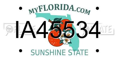 IA45534 Florida License Plate