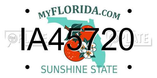 IA45720 Florida License Plate