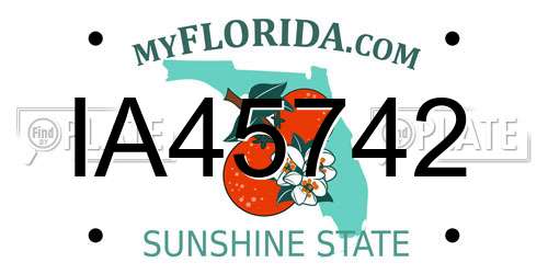 IA45742 Florida License Plate