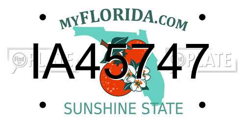 IA45747 Florida License Plate