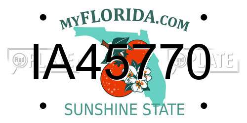IA45770 Florida License Plate