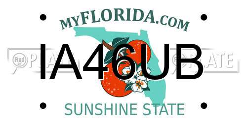 IA46UB Florida License Plate