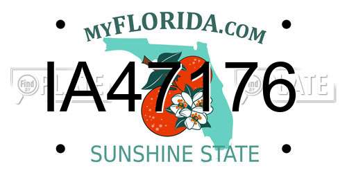 IA47176 Florida License Plate